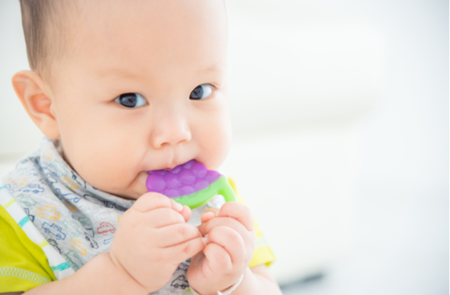 Little asian baby biting plastic teether and looking at camera